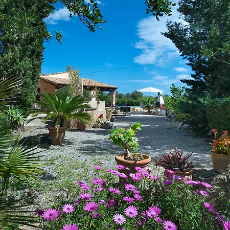 Villa Owl Teo - Rustic
